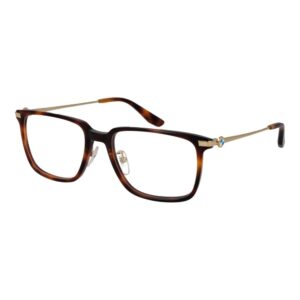 BMW Brown Plastic Glasses (Frames)