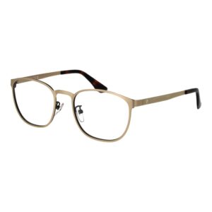 BMW Gold Metal Glasses (Frames)